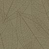 Laurel Thyme
